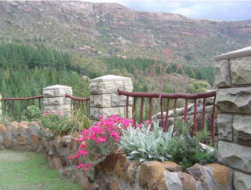 View from Main House